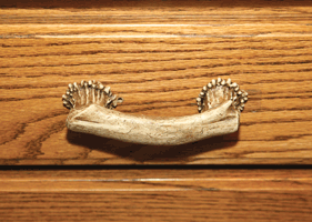 Rivers Edge Antler Cabinet Hardware Drawer Pull 4"