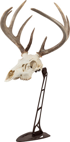 Allen Centerpiece Skull Mount Stand EZ Mount Brown