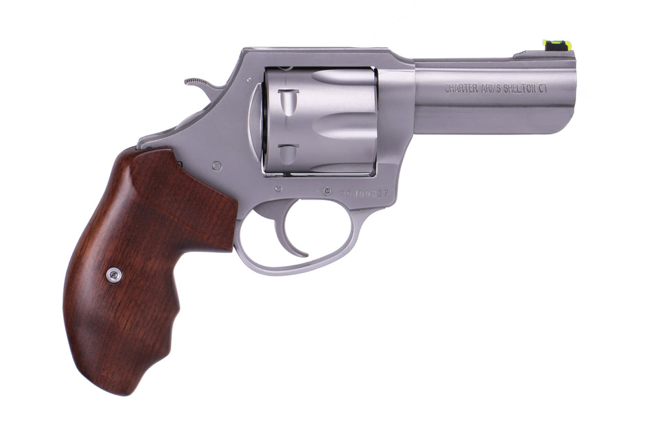 THE PROFESSIONAL 357MAG SS 3" 6-SHOT | STAINLESS STEEL