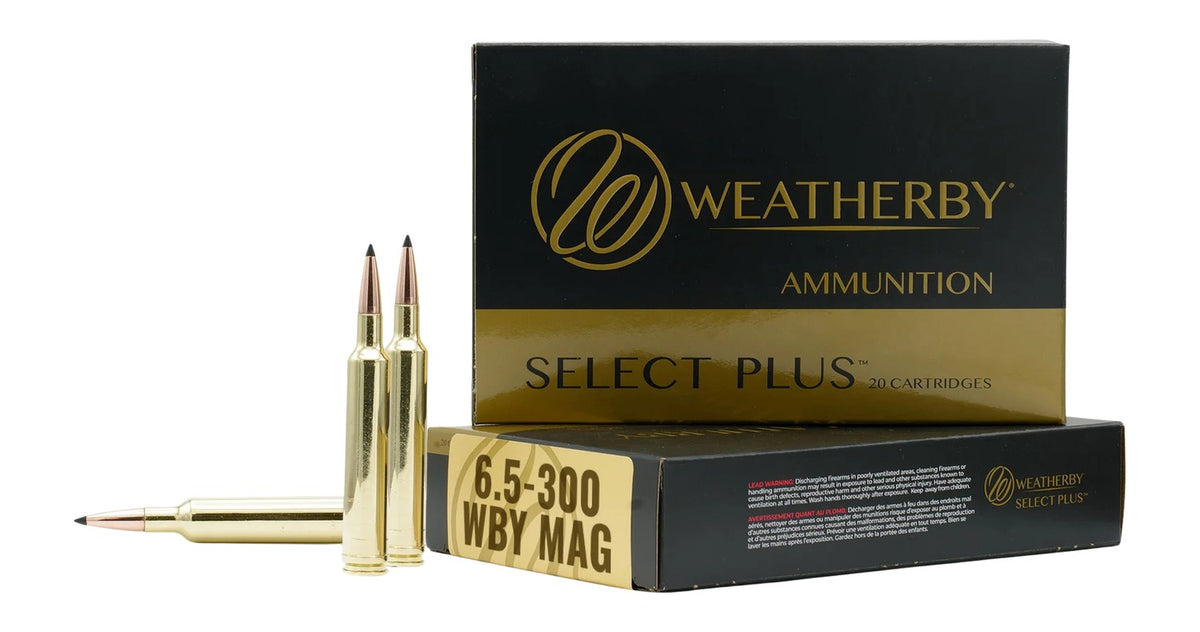 Weatherby Select Plus 6.5-300 Weatherby Mag 129 grain Hammer Custom ammunition