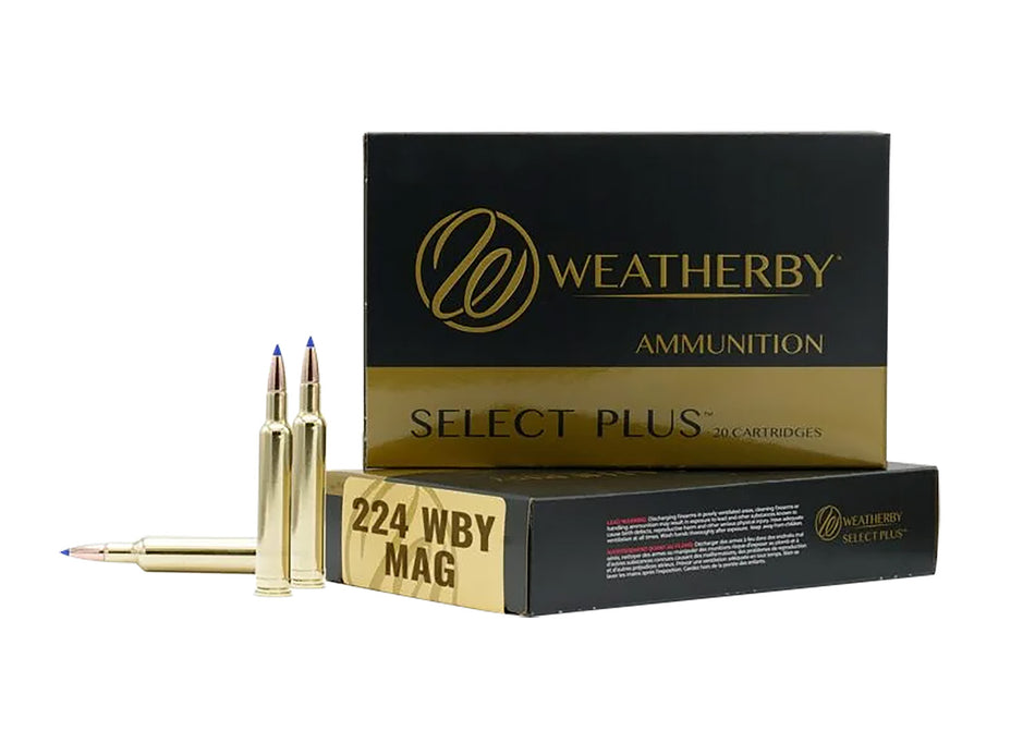 Weatherby  .224 Weatherby Mag 37 grain Solid Hollow Point ammunition