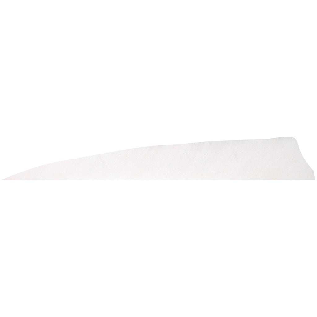Gateway Shield Cut Feathers 4 in. Right Wing White 100 Pk.