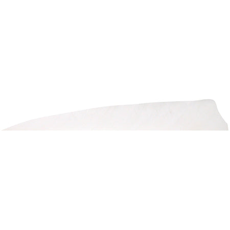 Gateway Shield Cut Feathers 4 in. Right Wing White 100 Pk.