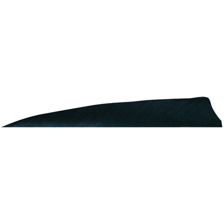 Gateway Shield Cut Feathers 4 in. Right Wing Black 100 Pk.