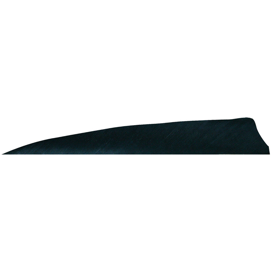 Gateway Shield Cut Feathers 4 in. Right Wing Black 100 Pk.