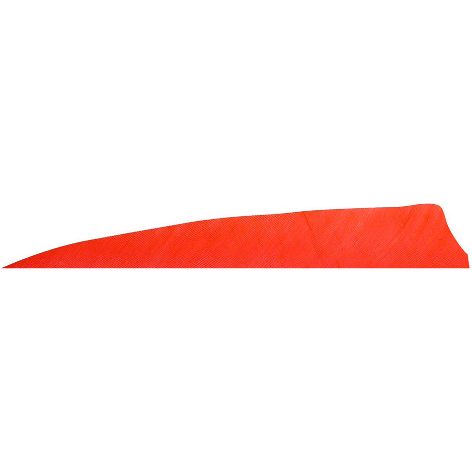 Gateway Shield Cut Feathers 4 in. Right Wing Red 100 Pk.