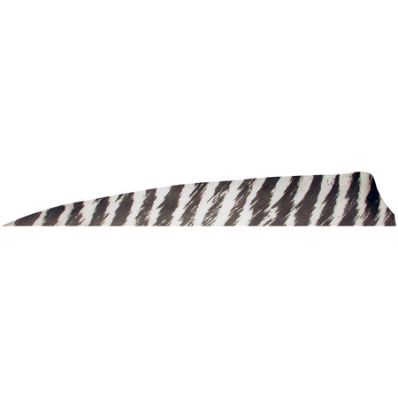 Gateway Shield Cut Feathers 4 in. Right Wing Barred White 100 Pk.