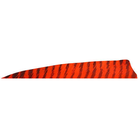 Gateway Shield Cut Feathers 4 in. Right Wing Barred Red 100 Pk.