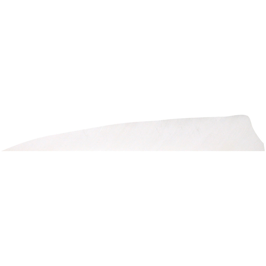 Gateway Shield Cut Feathers 5 in. Right Wing White 100 Pk.