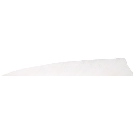 Gateway Shield Cut Feathers 5 in. Right Wing White 100 Pk.