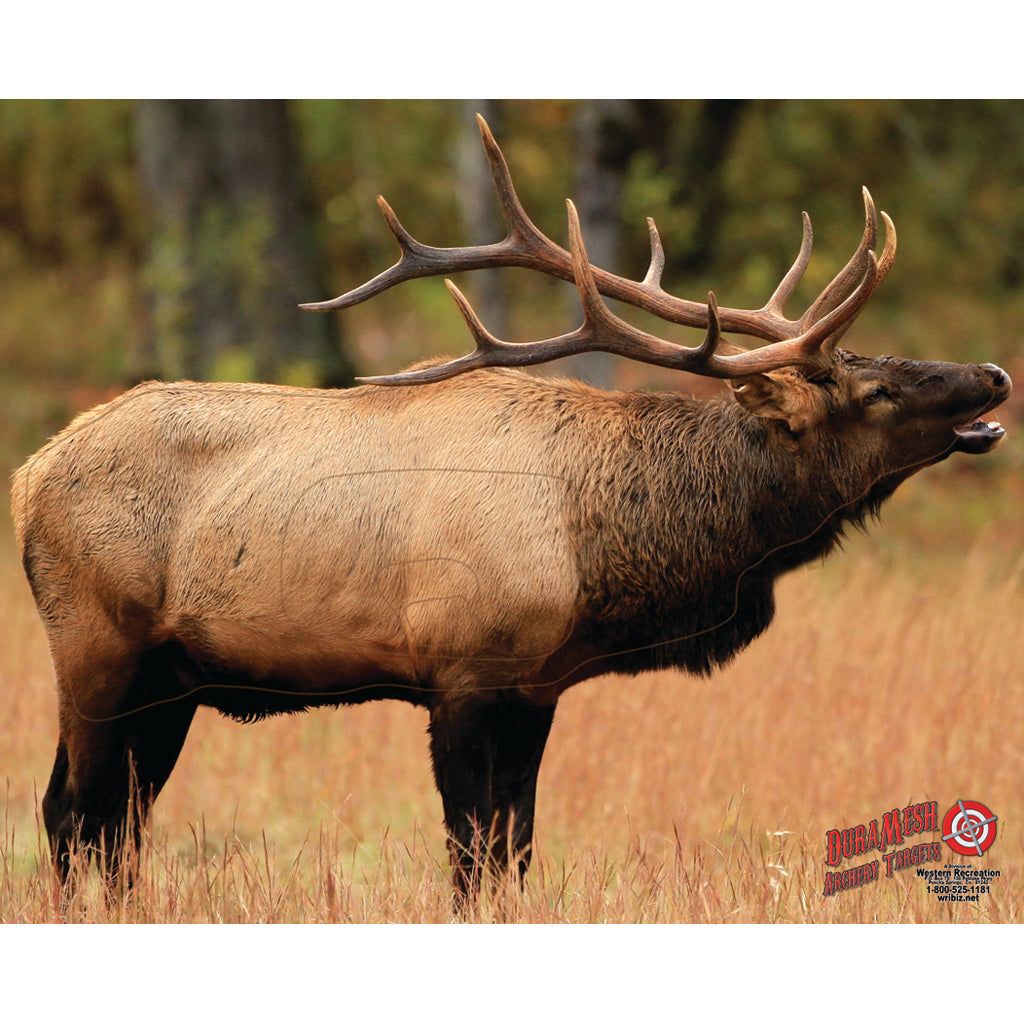 DuraMesh Elk 1 Target for Archery - 25 in. x 32 in.