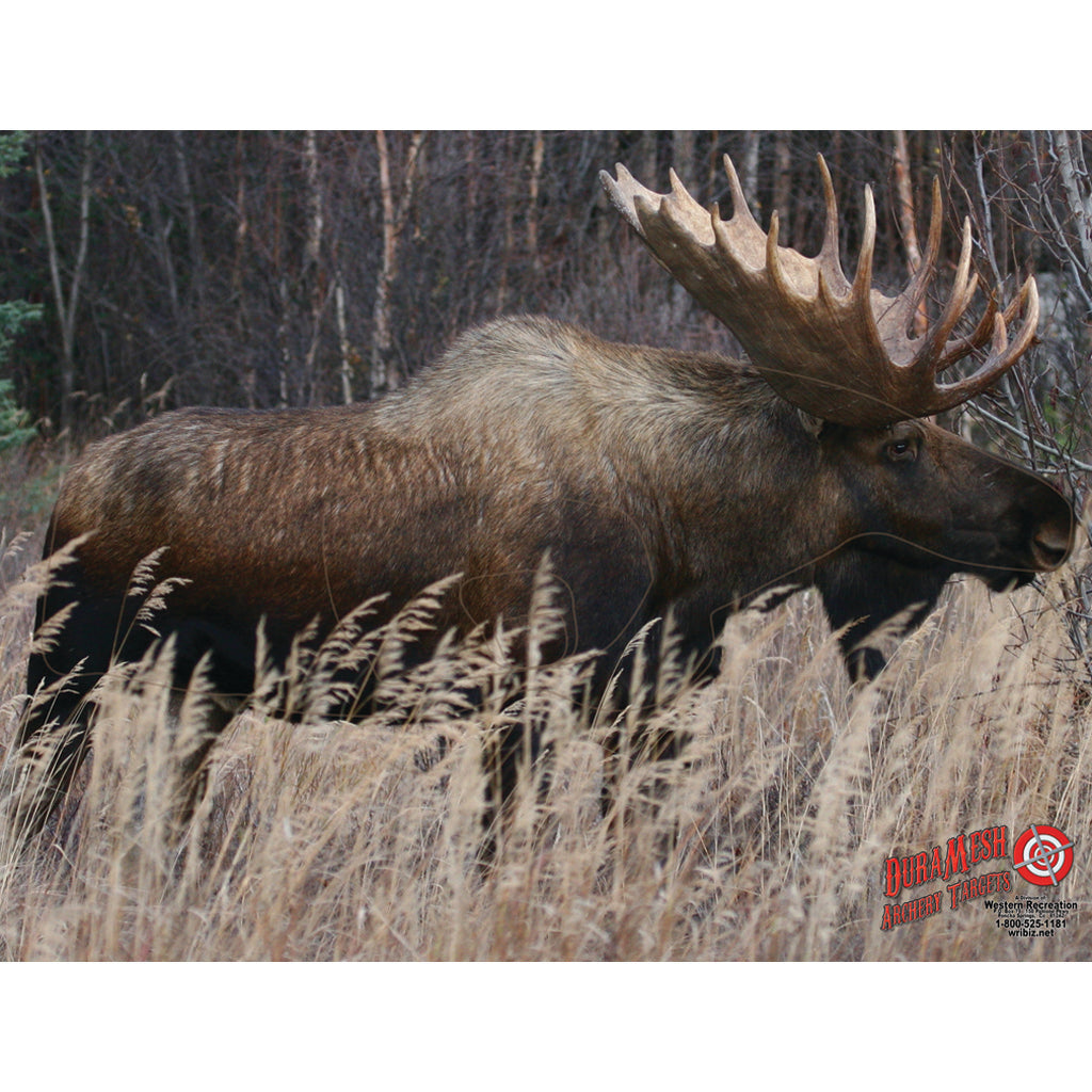 DuraMesh Moose Target for Archery - 25 in. x 32 in.