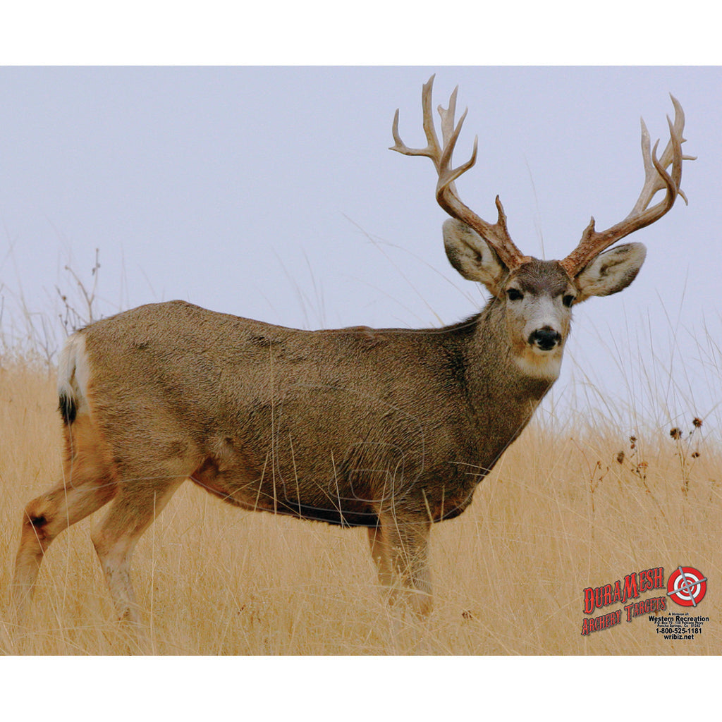 DuraMesh Mule Deer 2 Target for Archery - 25 in. x 32 in.