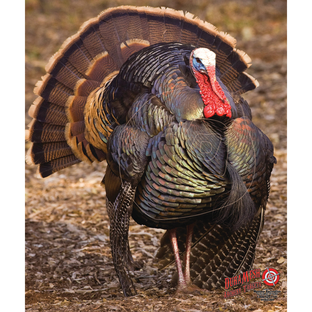 DuraMesh Turkey 3 Target for Archery - 32 in. x 25 in.