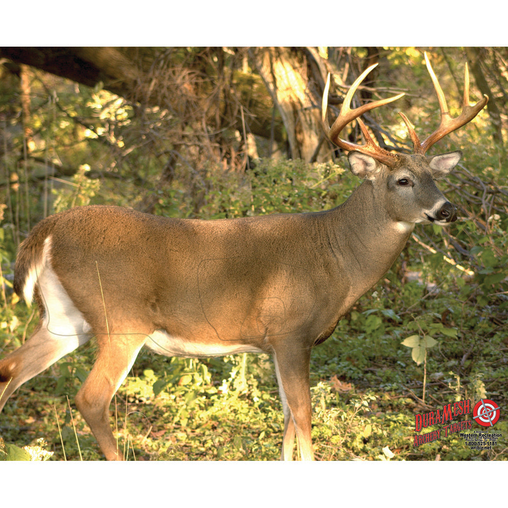 DuraMesh Whitetail 3 Target for Archery - 25 in. x 32 in.