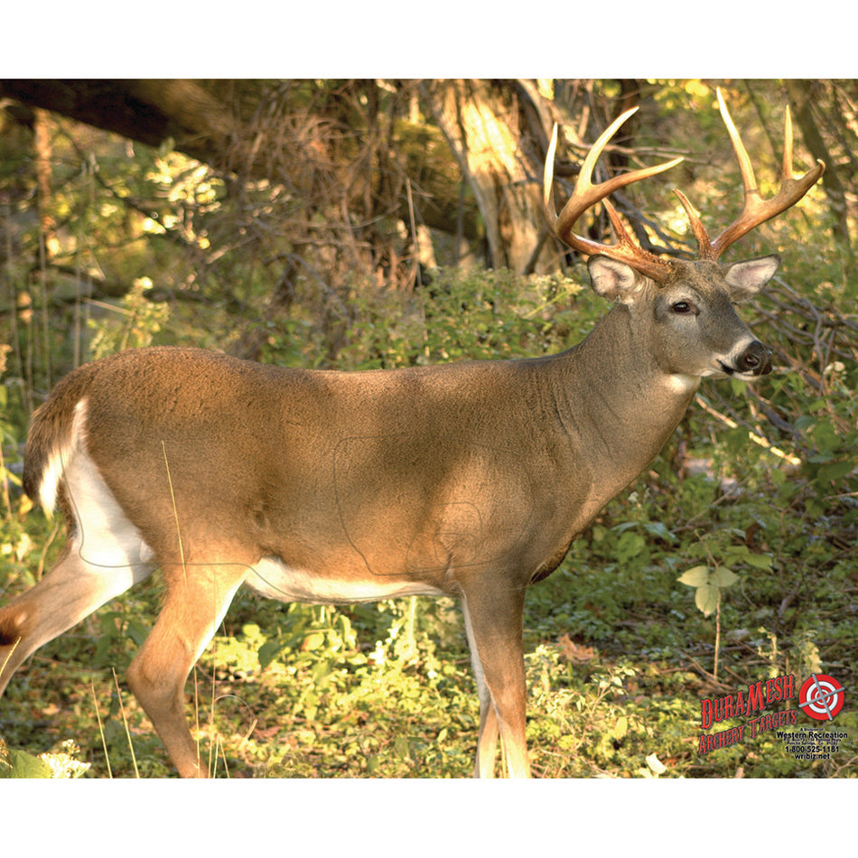 DuraMesh Whitetail 3 Target for Archery - 25 in. x 32 in.