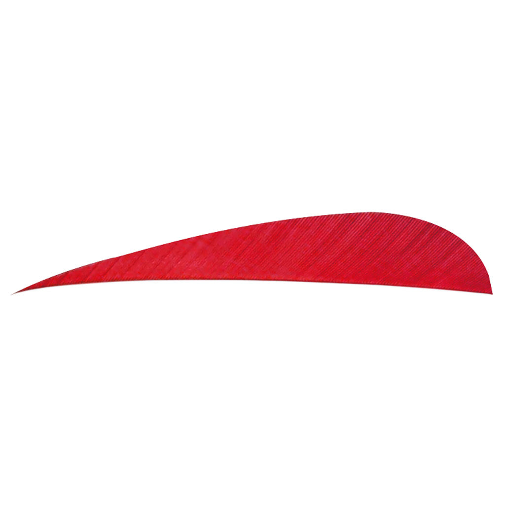 Trueflight Parabolic Arrow Fletching Red 4 in. RW Pkg of 100