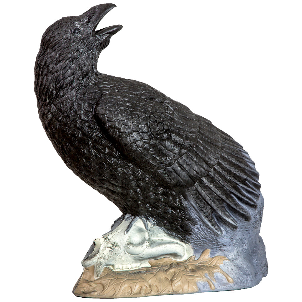 Rinehart Raven Bow and Crossbow Archery Target