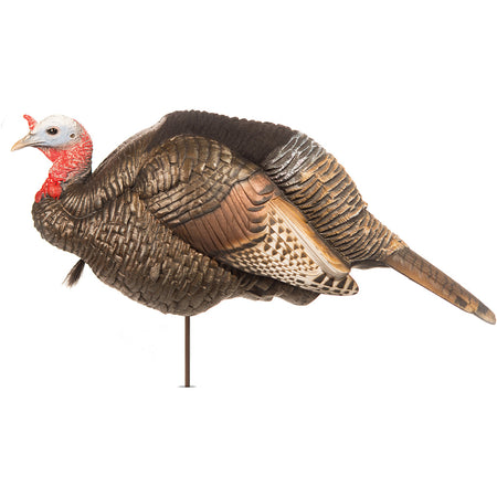 Dave Smith Decoys Weatherproof 3/4 Strut Jake Decoy with Lifelike Pose