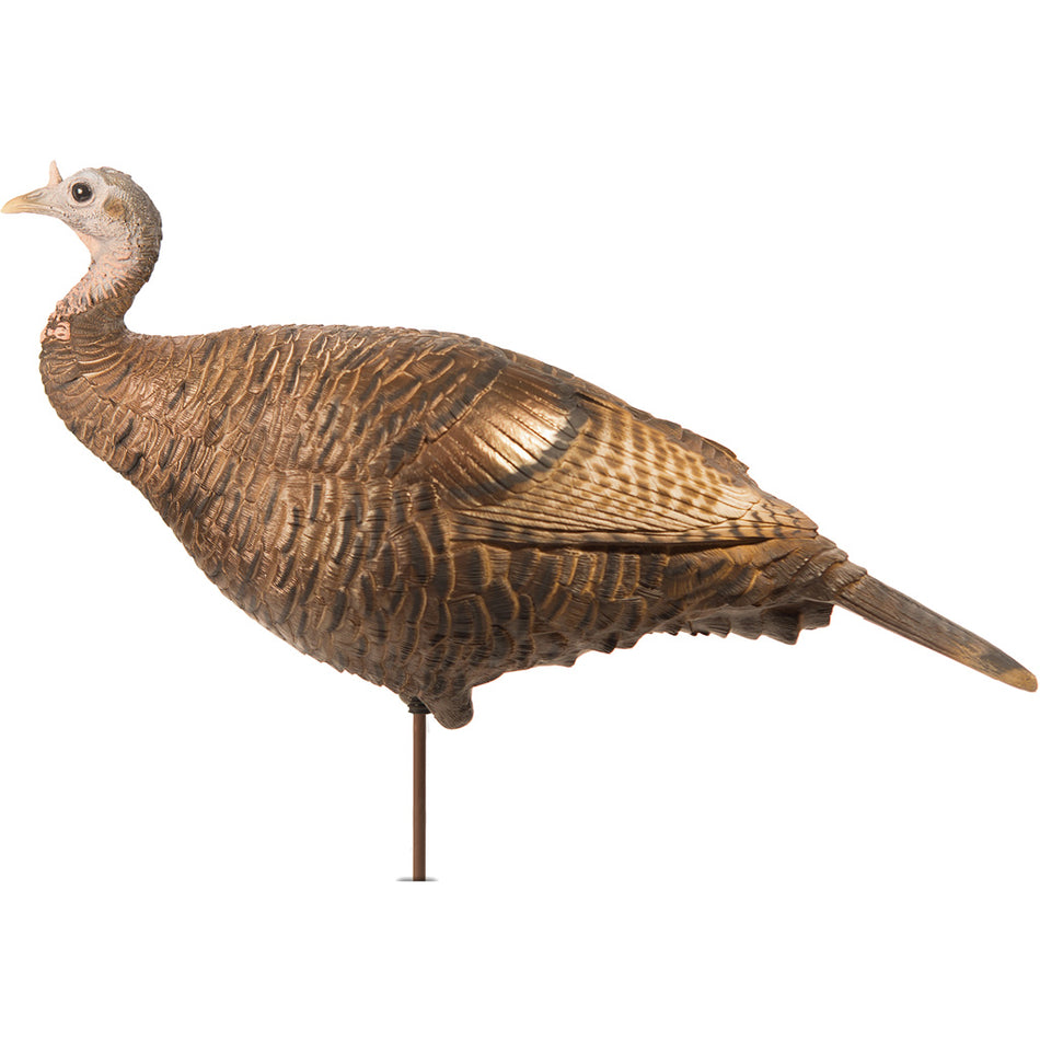 DSD Leading Hen Decoy with Carry Bag