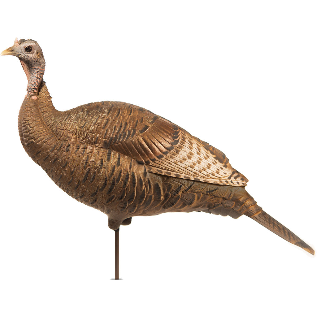 DSD Upright Hen Field Turkey Decoy