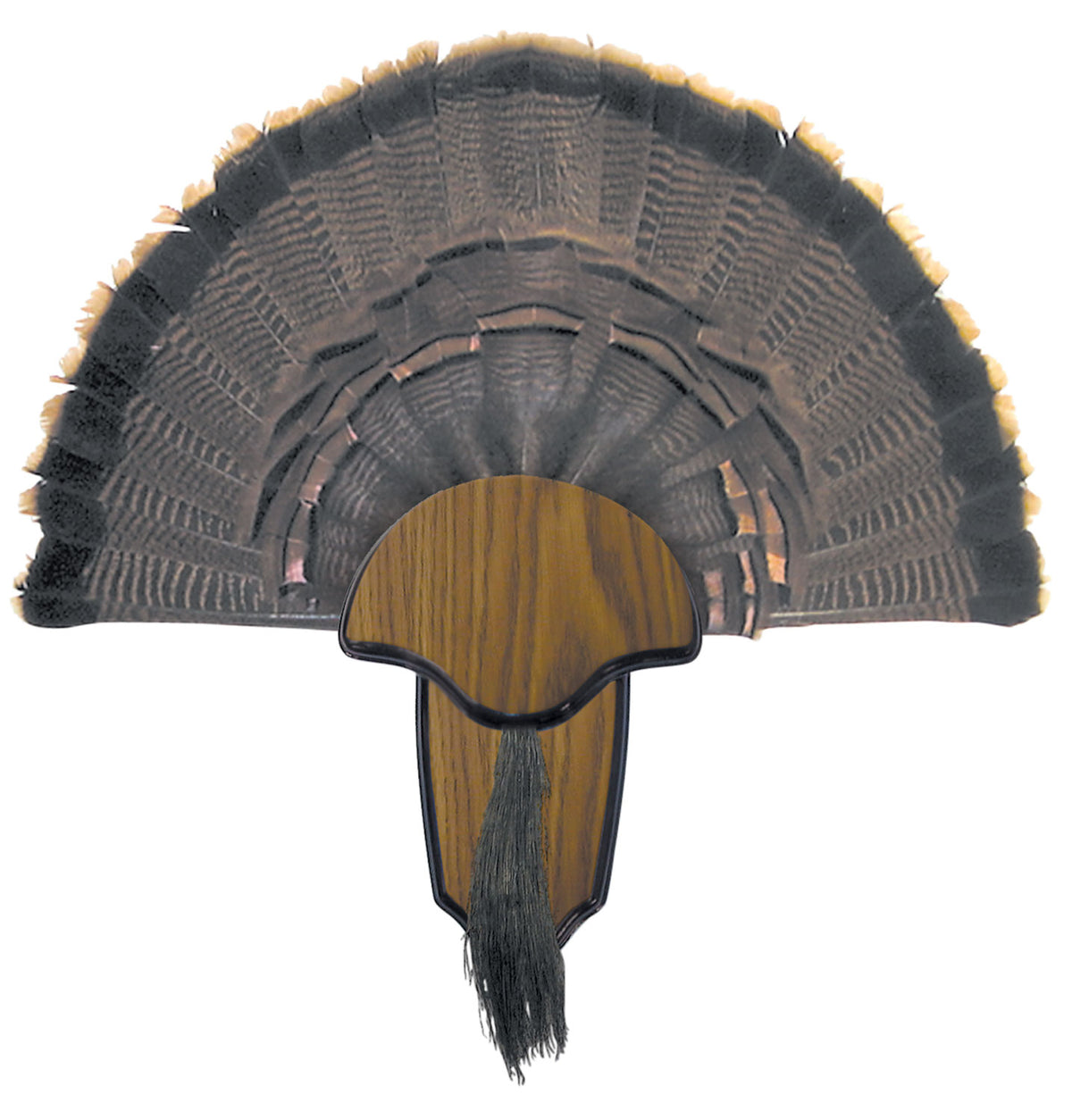 HS Strut Turkey Tail Beard Mount Kit with Plaque Hardware and Instructions