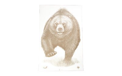 Action Target Bear Paper Target, Alaska State Parks Edition, 23"x35", 100-Pack ASP-BB-100
