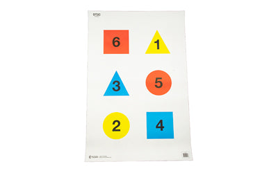 Action Target Discretionary Command Range Target V2-C, 23"x35", Multi-Color, 100-Count DT-2C-100