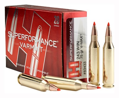 Hornady Superformance Varmint Hornady V-Max 75 Grain .243 Winchester 3580 fps