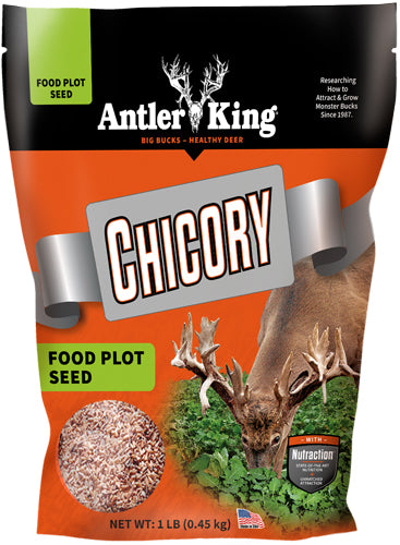Antler King Chicory Food Plot Seed 1lb Perennial 1/4 Acre Bag