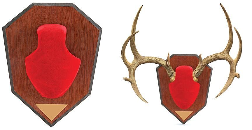 Allen Antler Mounting Kit Red Skull with Laminated Finish Plaque