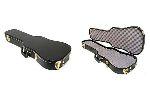 Thompson Violin Pistol Carry Case Gold Hardware Keyed Locks