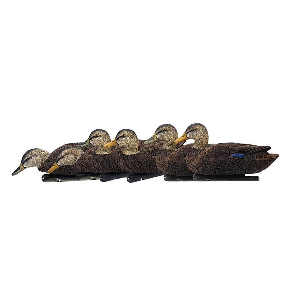 Avian-X Topflight Flocked Black Duck Floating Hunting Decoys 6 Pack