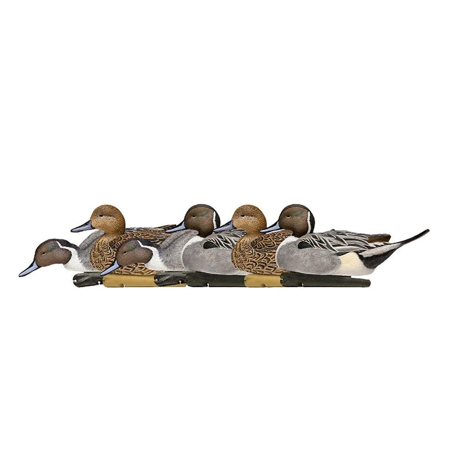 Avian-X Topflight Pintails Rubber-Molded Duck Decoys 6-Count with Feeding and Low-Head Postures