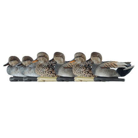 Avian-X Topflight Gadwall Decoys 6/ct with Weight-Forward Swim Keel