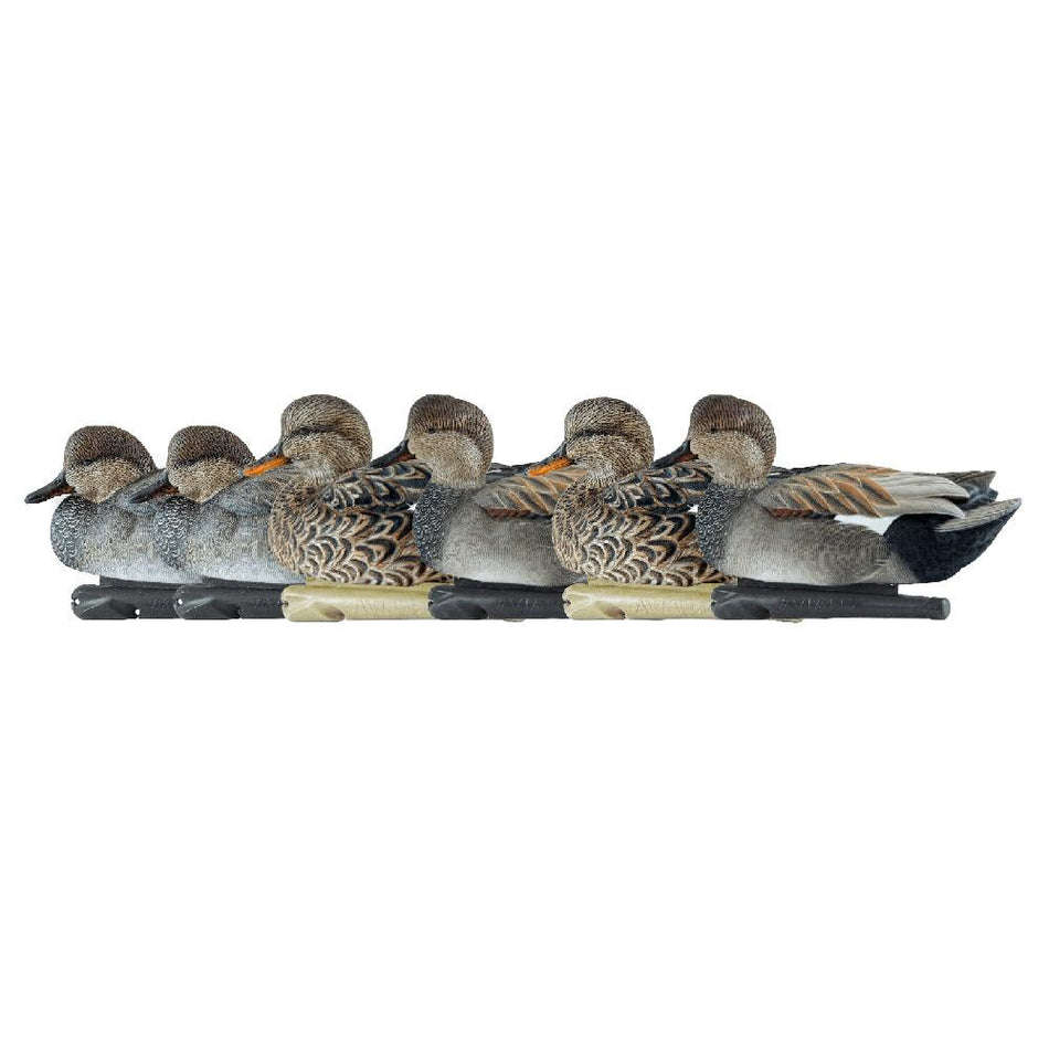 Avian-X Topflight Gadwall Decoys 6/ct with Weight-Forward Swim Keel