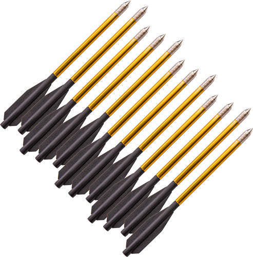 Bear-X Desire Series Crossbow Bolts 12 Pack