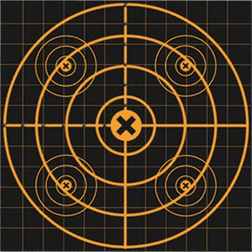 Birchwood Casey Big Burst Revealing Targets Sight-In 3-Pack 12-Inch