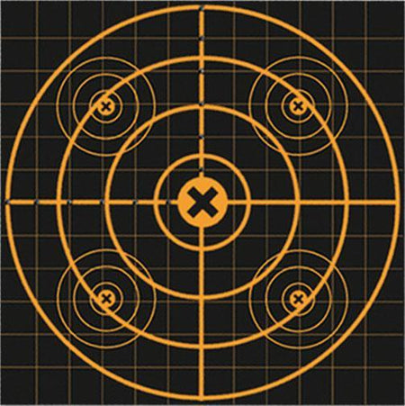 Birchwood Casey Big Burst Revealing Targets Sight-In 3-Pack 12-Inch