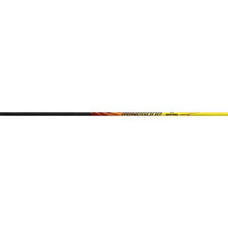 Black Eagle Renegade .005 250 Spine Hunting Shafts 1 Dozen