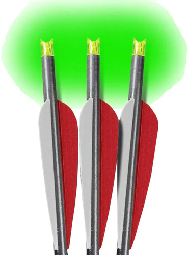 Lumenok 22-Inch Barnett Headhunter Crossbow Arrow Green Crescent Nock 3PK