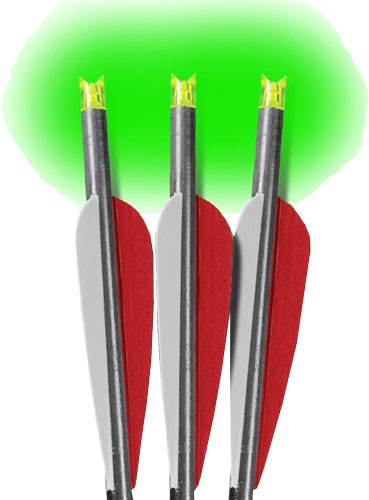 Lumenok 20-Inch Barnett Headhunter Crossbow Arrow Green Crescent Nock 3PK