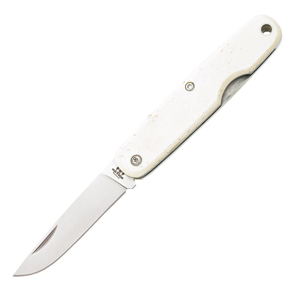 Bear & Son 79 Cocobolo Single Blade Folding Knife Drop Point 2-1/4" White Bone Grip