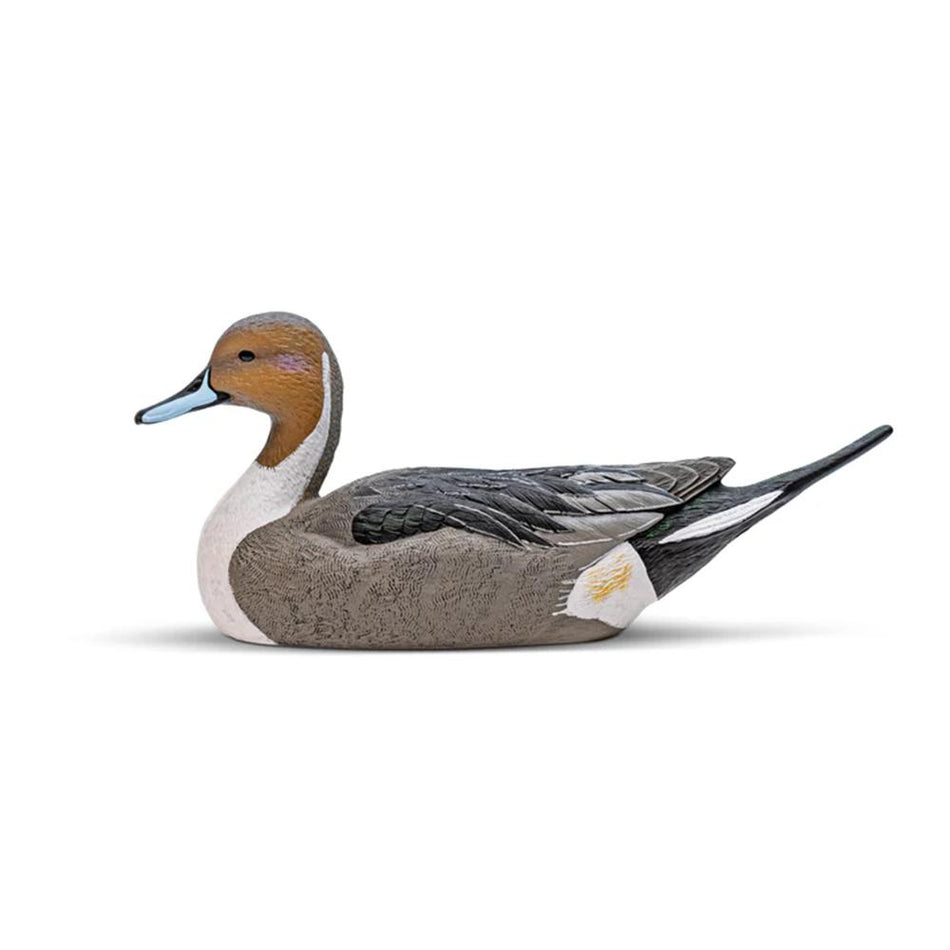 Rig'Em Right Mainline Pintail Duck Floating Decoys Pack of 6