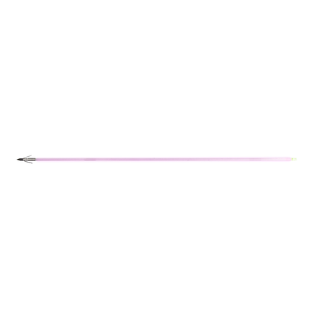 Muzzy Sabre Lighted Fiberglass Bowfishing Arrow with Carp Point