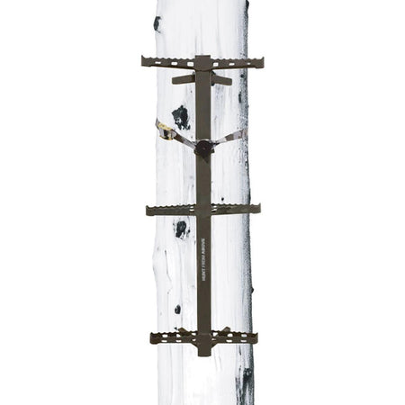 Hawk Hunting Ranger Non-Slip Climbing Sticks 3 Pack