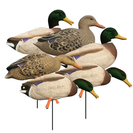 Higdon Outdoors Magnum Full Body Mallard Duck Decoy Set Flocked Heads 6pk