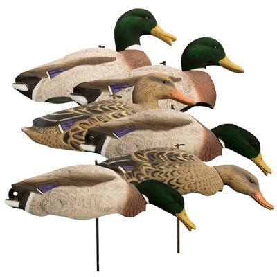 Higdon Outdoors Magnum Mallard Shell Variety Pack Flocked Heads - 6 Decoys with Stakes