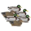 Higdon Legacy Magnum Mallard 6/ct