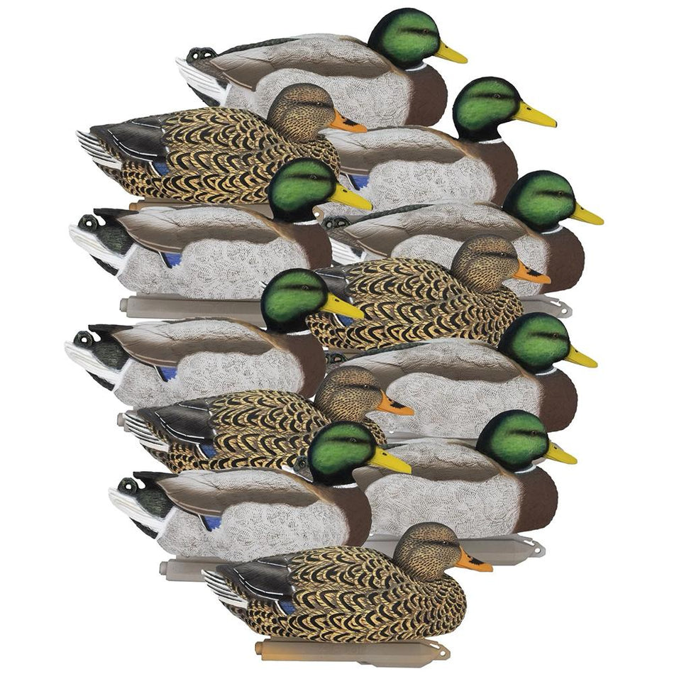 Higdon Legacy Mallard Magnum Duck Decoys Painted Heads 6 Count Pack